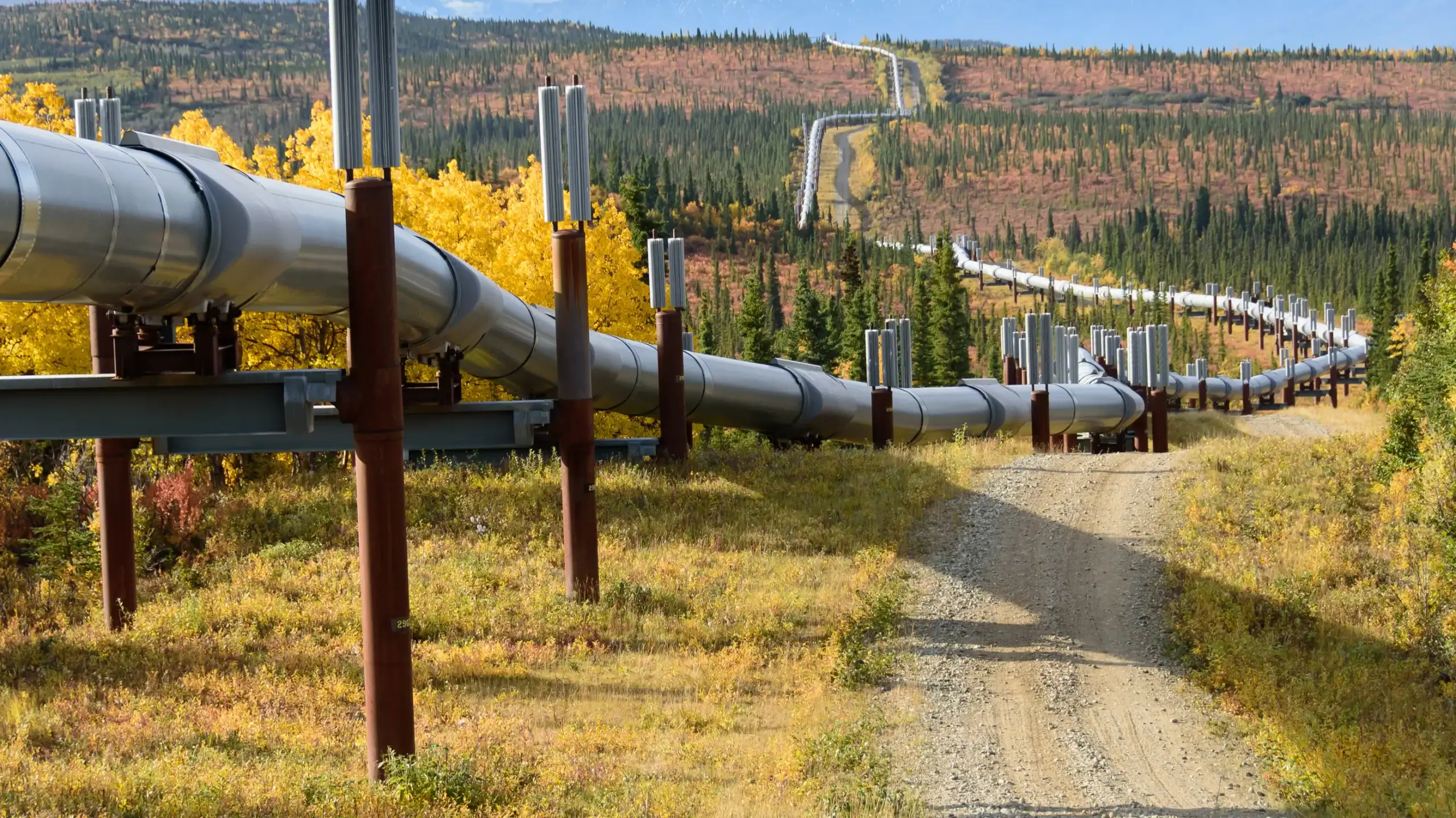 Long-distance pipeline transporting fuel or natural gas through a forested landscape with autumn foliage.