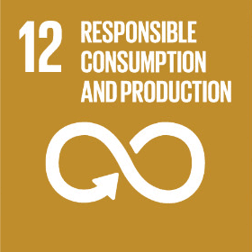 Gold UN Sustainable Development Goal 12 icon featuring the number 12, the text “Responsible Consumption and Production,” and a circular infinity-like symbol, representing sustainable resource use, consumption, and production patterns.