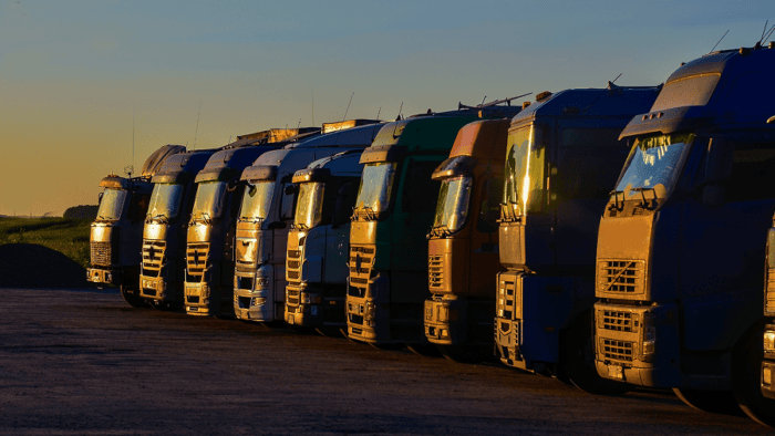 Trucks lined up at sunset.