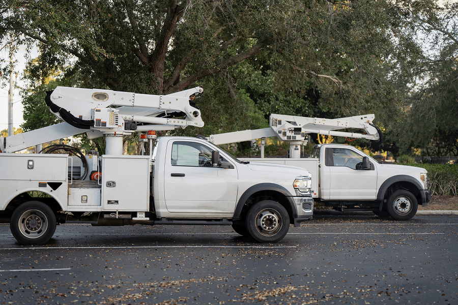 Two white utility trucks parked.