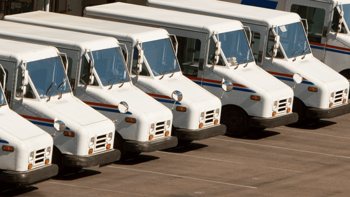 Row of white delivery trucks parked.