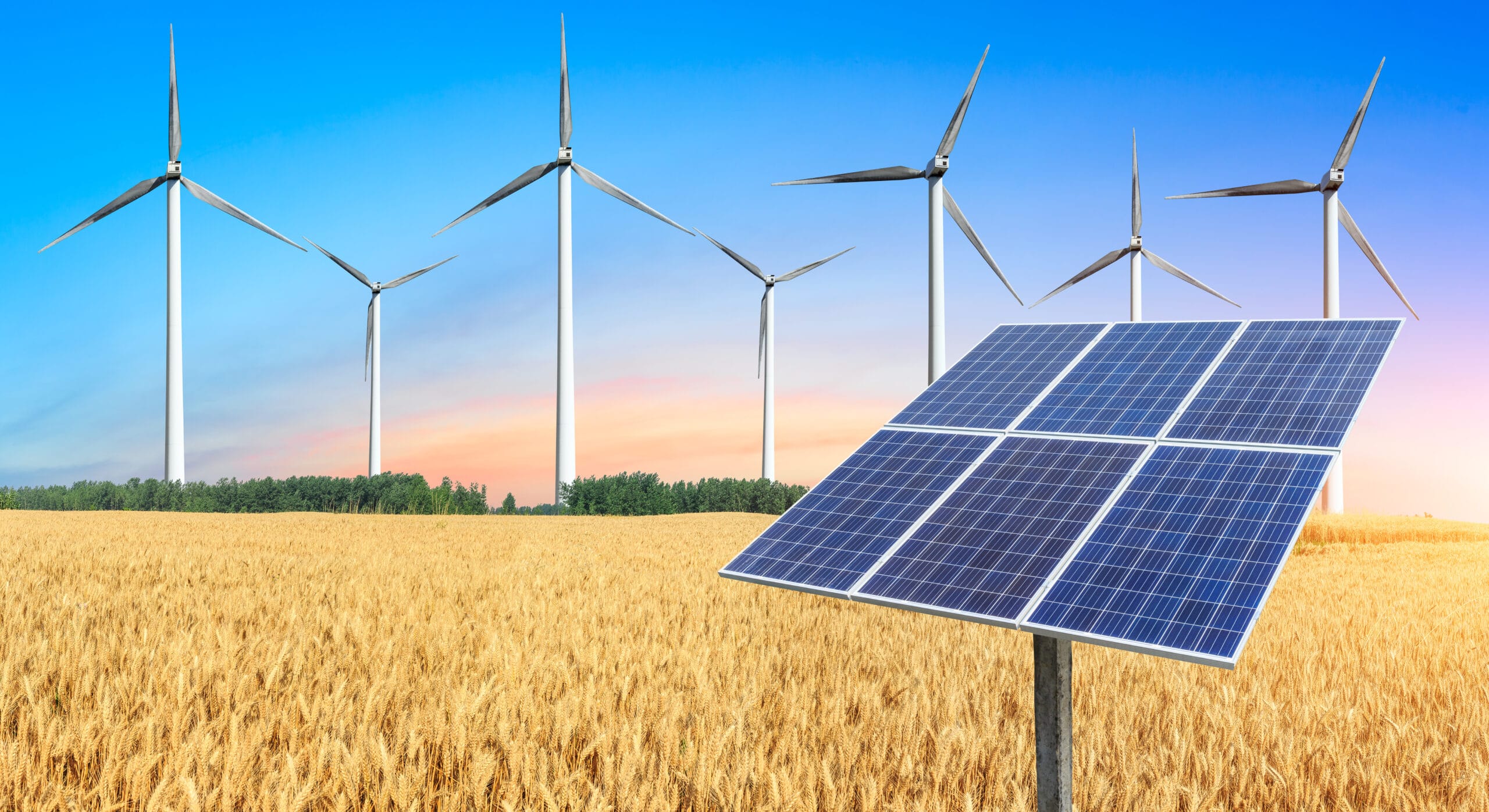 Understanding 45Z: World Fuel experts respond to Frequently Asked Questions (FAQs)