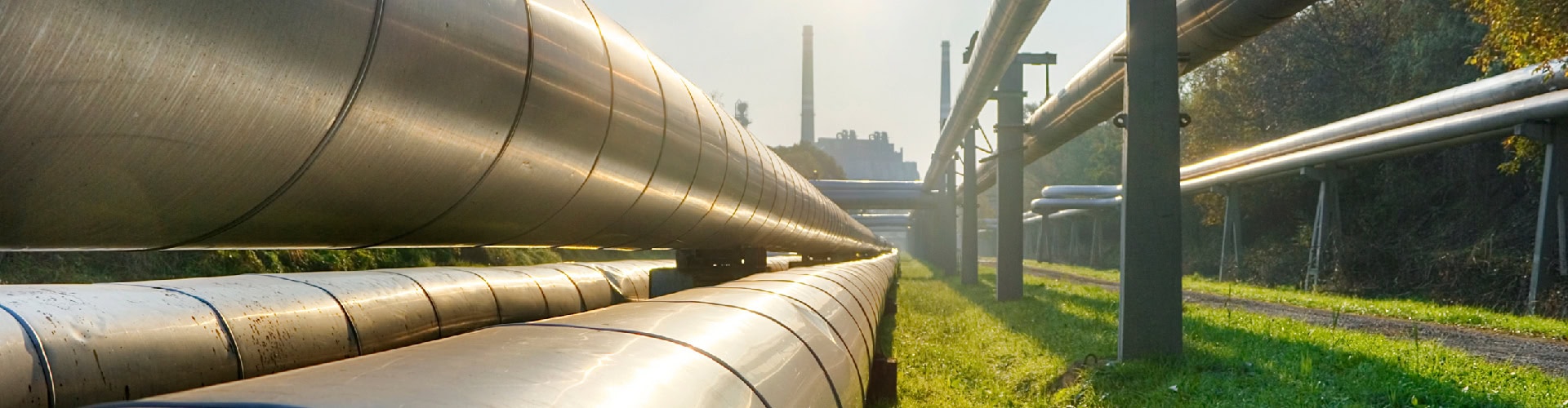 Case Study: Natural Gas & Electricity Brokerage for Municipal Government