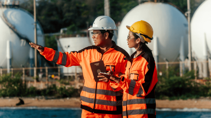 Engineers looking at sea