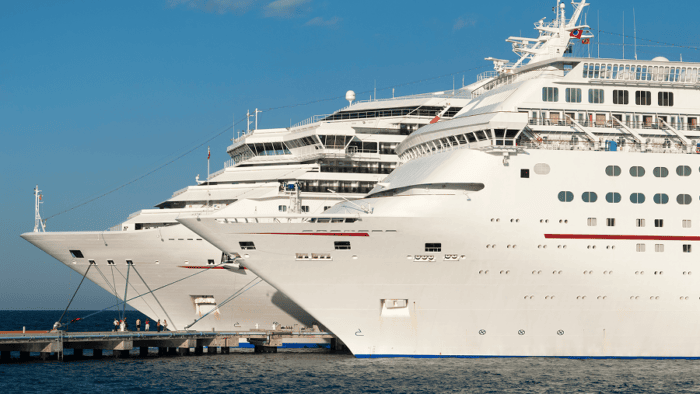 Two large cruise ships docked together