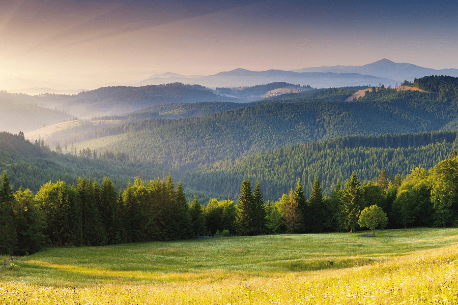 A scenic view of rolling mountains and bright green hills