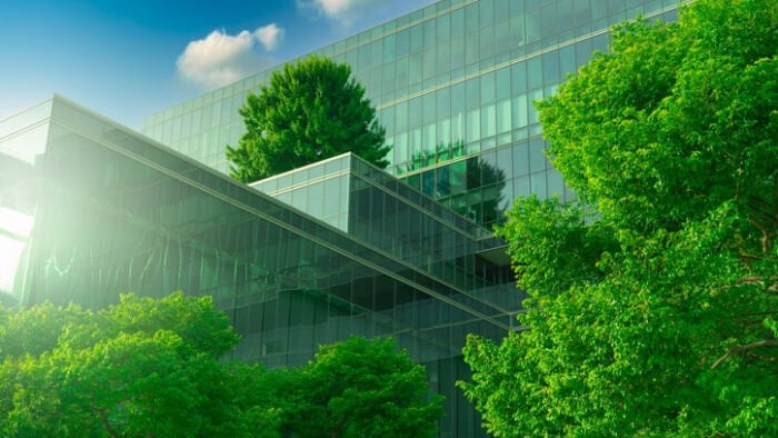 Case Study: Carbon Compliance Services (ESOS) in Higher Education